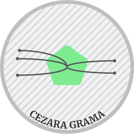 Cezara Grama Top Innovator in civic engagement in Romania  - 3 nominations, 2 people nominated further