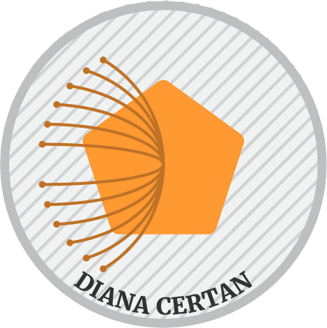 top innovator in social inclusion in Romania: Diana Certan