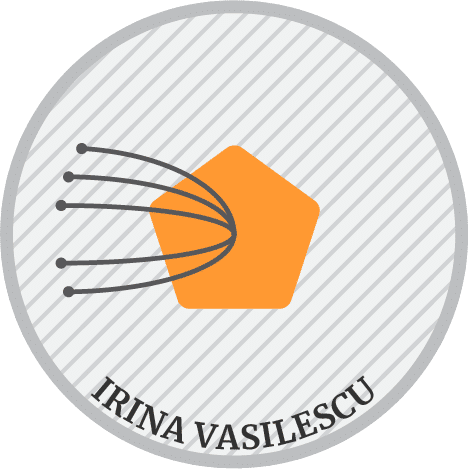 Top innovator in social inclusion in romania Irina Vasilescu