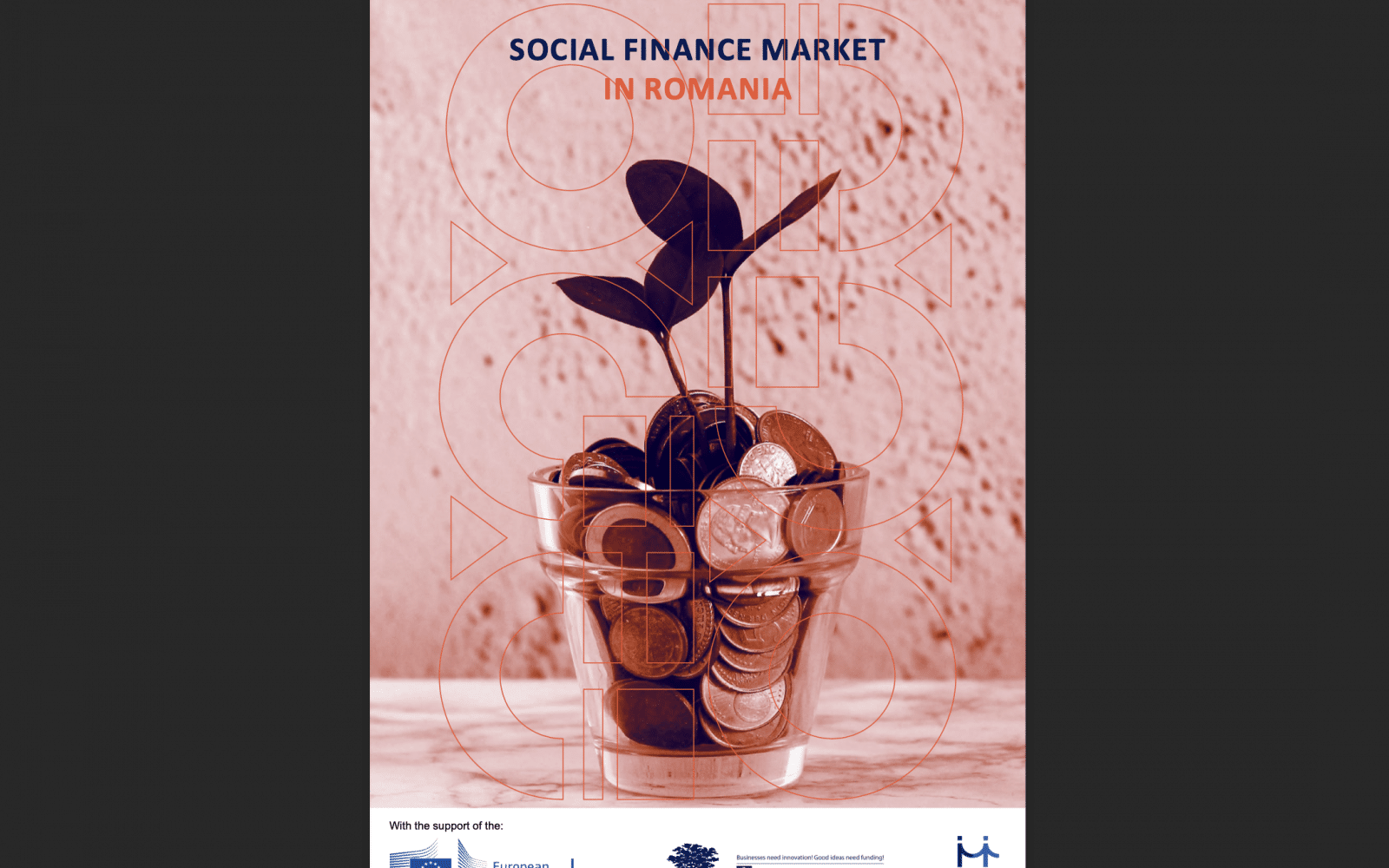 Cover of social finance report in Romania - plant vase with money in it 