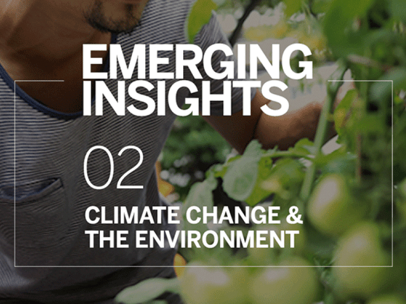 Na tle zielonego krzaku napis "Emerging insights. 02 - Climate change and the environment".