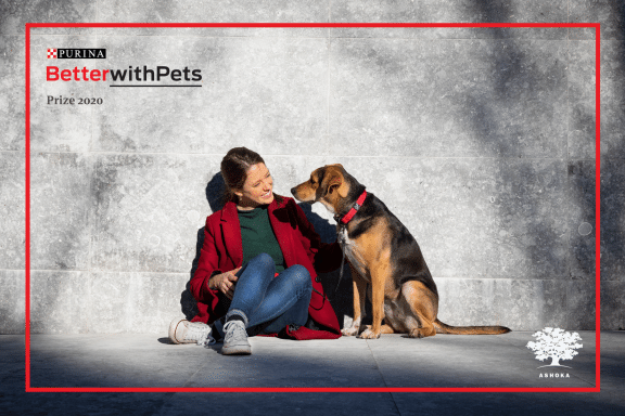 BettewithPets Prize Banner Image