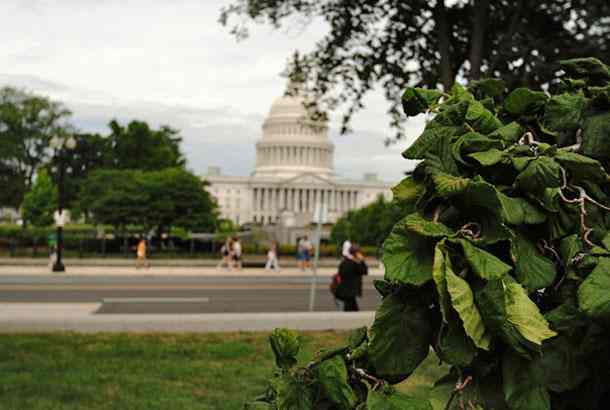 US Capitol