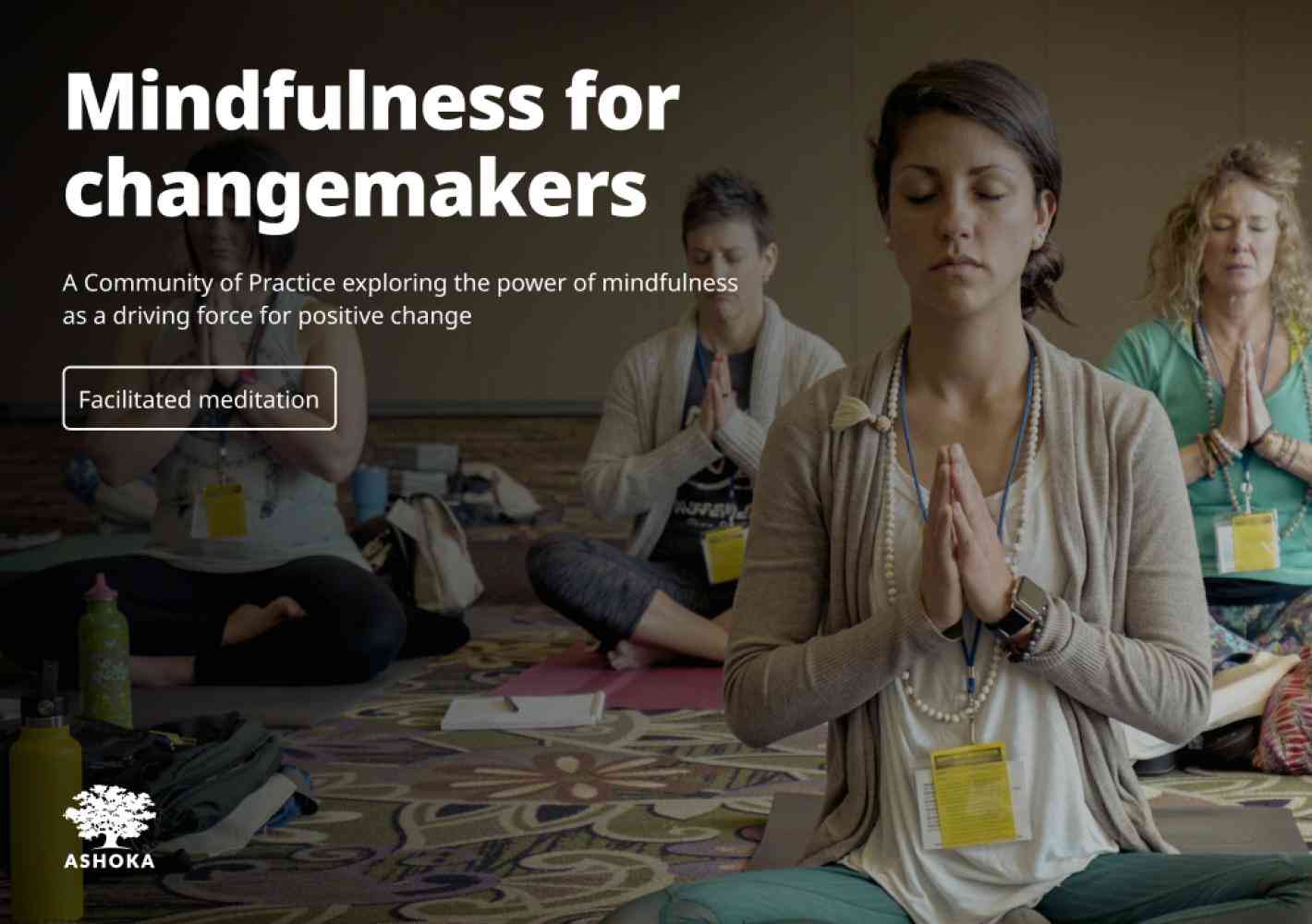 Mindfulness for Changemakers