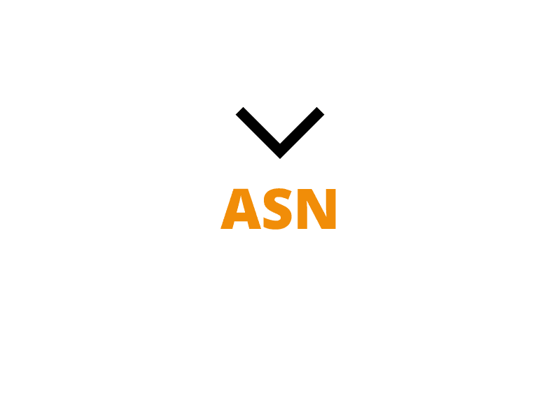 Una felcha o pico negro señala, hacia abajo, la palabra escrita en mayúsculas y en color naranja "ASN".