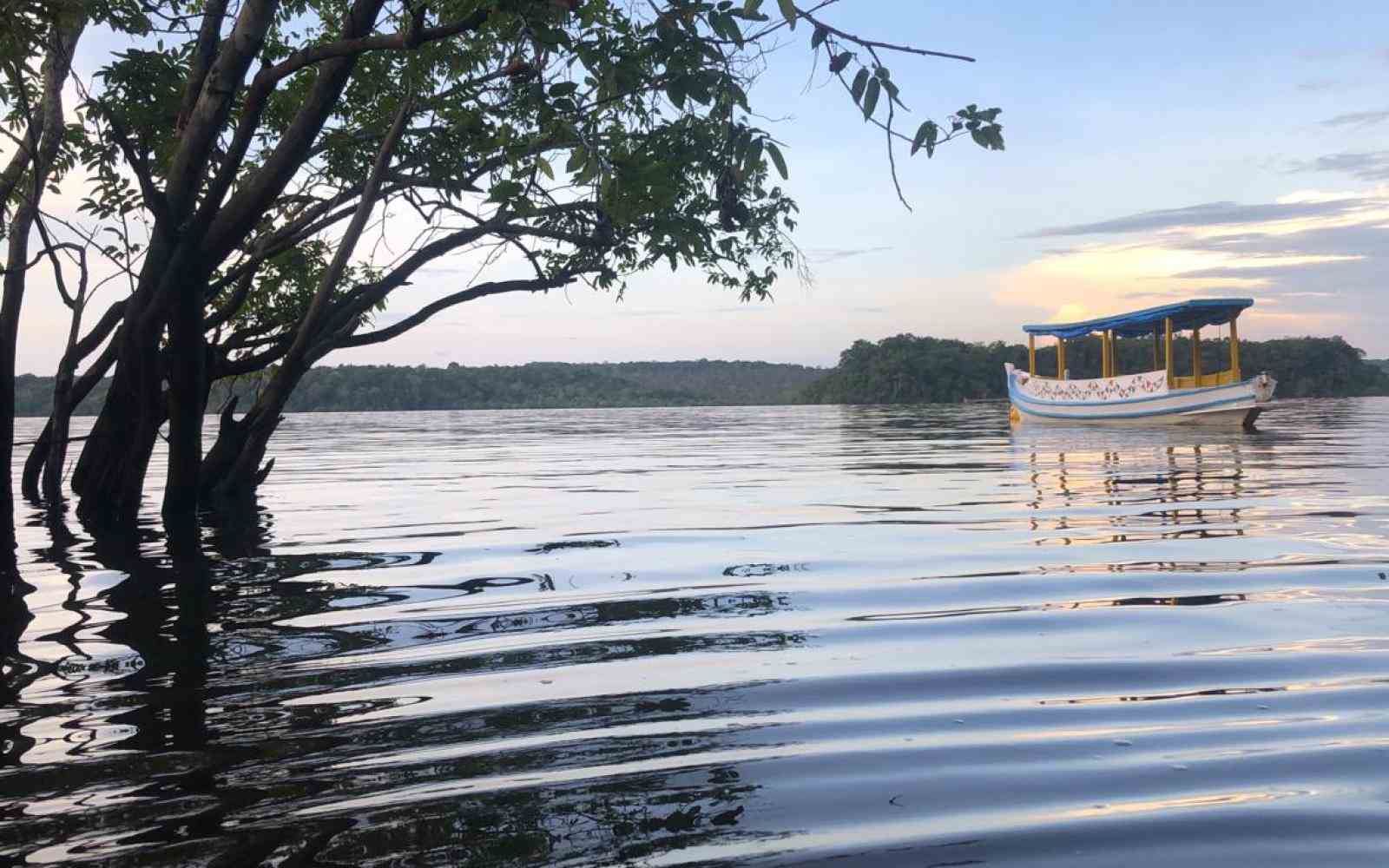 Barco navegando pelo rio. A paisagem também é composta por árvores e floresta