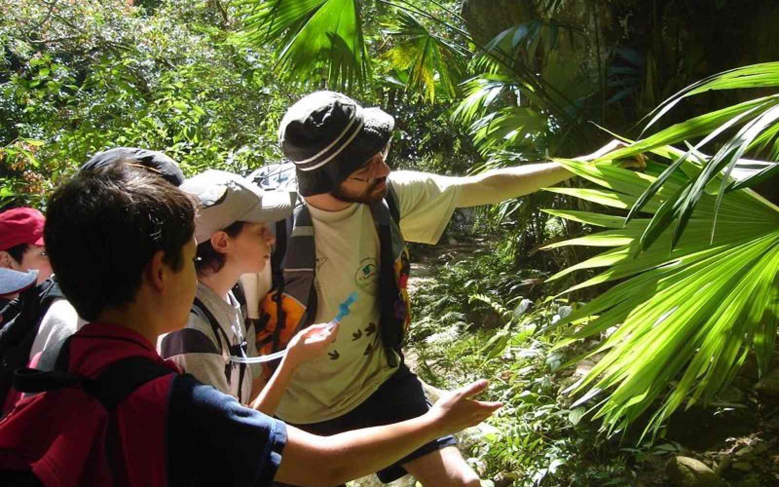 Nature based education with youth in a forest