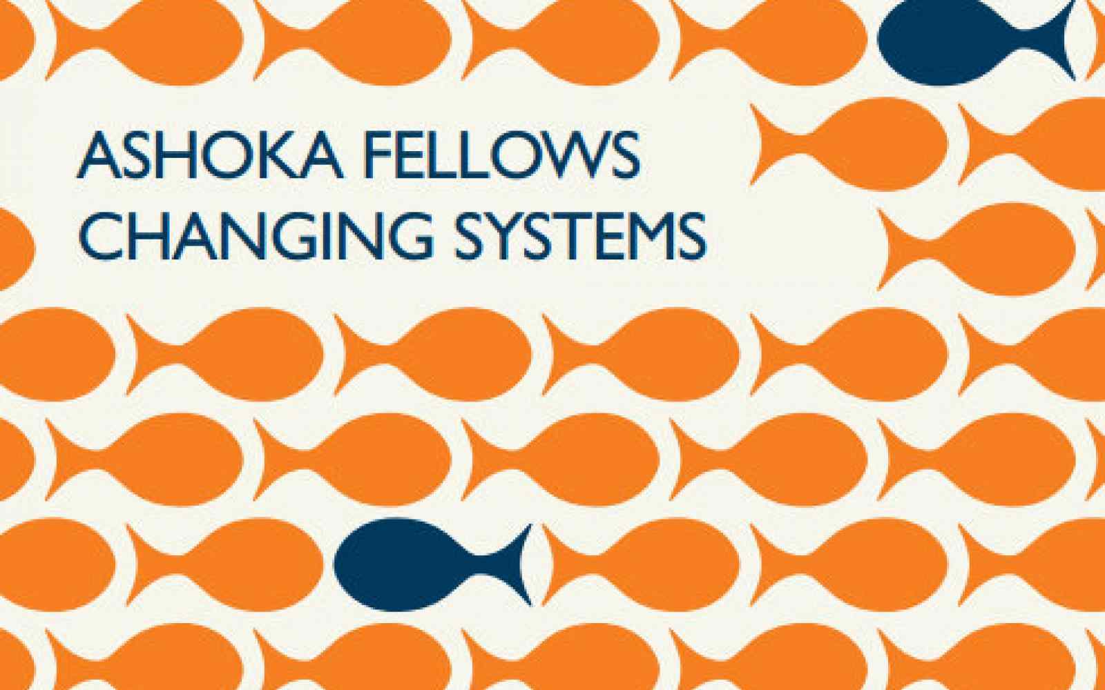 Ashoka Fellows Changing Systems