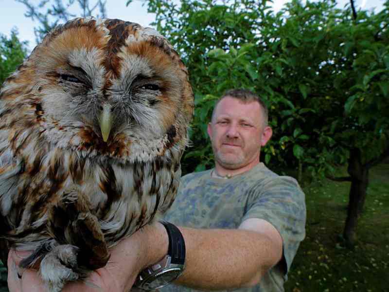 man holding an owl in his hand