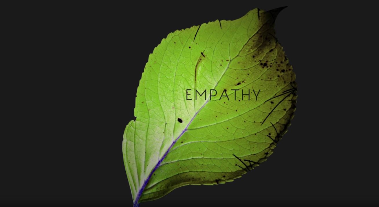 Empathy